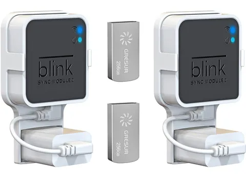 256GB USB Flash Drive for Local Video Storage with The Blink Sync Module 2 Mo...