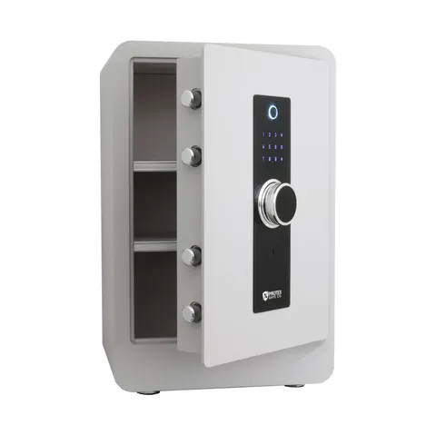 ProtexSafe Fireproof Steel Home Safe with Biometric, Digital Keypad, Key Lock...