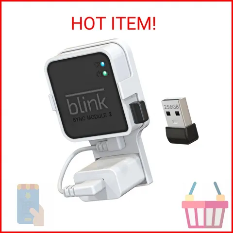 256GB USB Flash Drive with Outlet Wall Mount for Blink Sync Module 2, Space-Savi