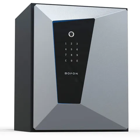 Y-Series Fingerprint Fireproof Safe , with Key, 2.1 Cubic, Safety for Home Of...