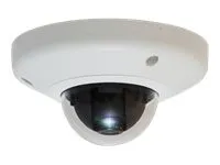 LevelOne FCS-3054 Network surveillance camera dome vandal-proof FCS-3054