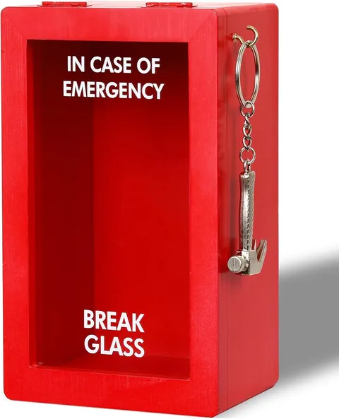 Funny Emergency Box W/Hammer (Large), Break in Case of Emergency Box, Personaliz