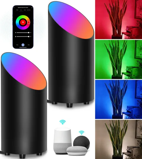 SUNVIE 2 Pack Smart Floor Can Light 5W RGBW Color Changing 2 Pack, Black 