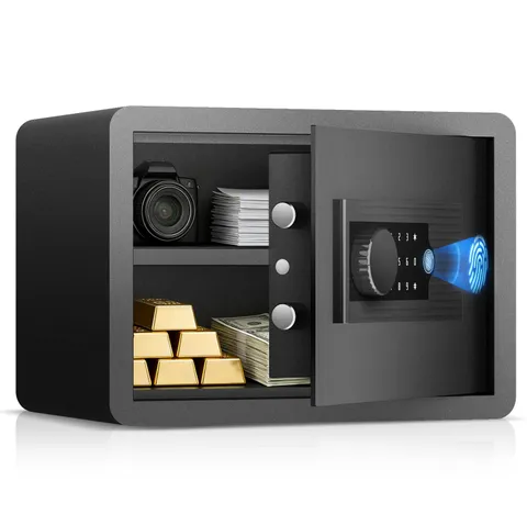 Biometric Fingerprint Home Safe, 1.0 Cubic Feet Small Digital Security Hidden...