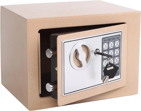 Small Steel Security Safe Box with Keypad,Key;0.23 Cu Ft, Gold |