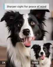 BLURAMS PET CAMERA 2K, 360° DOG CAMERA WITH PHONE APP, PTZ INDOOR -  WHITE