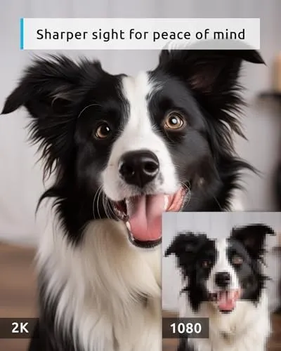 BLURAMS PET CAMERA 2K, 360° DOG CAMERA WITH PHONE APP, PTZ INDOOR -  WHITE
