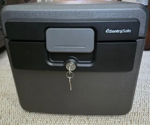SentrySafe HD4100 Fireproof and Waterproof Safe File Box 0.65 cu ft