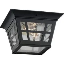 Sea Gull Lighting 78131-12 Herrington Two - Light Outdoor - Light, Black