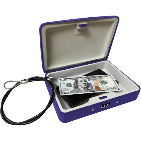 SEPOX Water/Fire-Resistant Portable Security Case Lock Box Steel, Small Personal