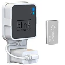 256GB USB Flash Drive for Blink Sync Module 2 with Outlet Wall Mount 1Pack