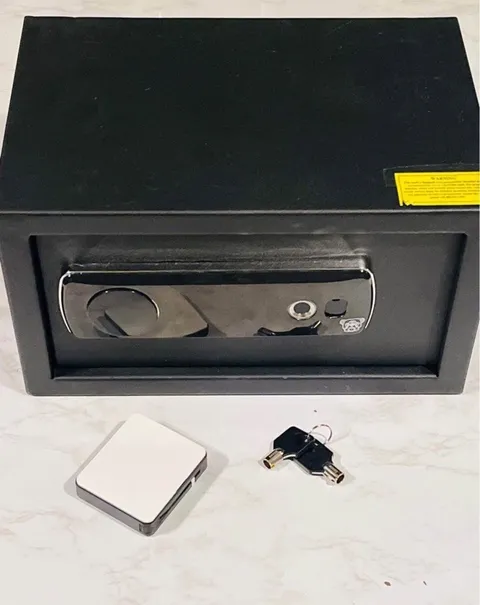 Bulldog Vaults Biometric Safe LED Display Backup Key Black BDS022 fingerprint 