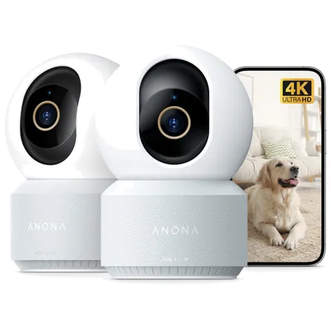 AI Person/Pet Detection Camera Duo