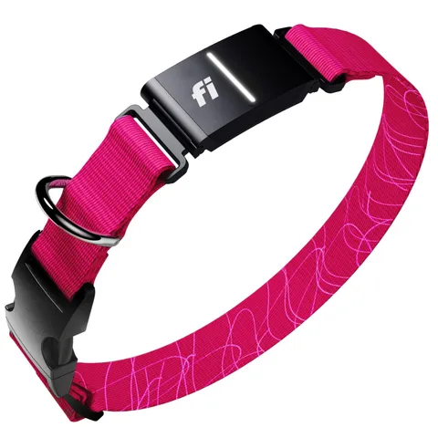 Fi New Series 3 Smart Dog Tracker Collar [6 Month Membership Included] GPS