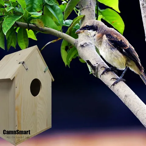 Camnsmart Wooden Bird House WiFi Camera HD Night Vision Tuya Smart