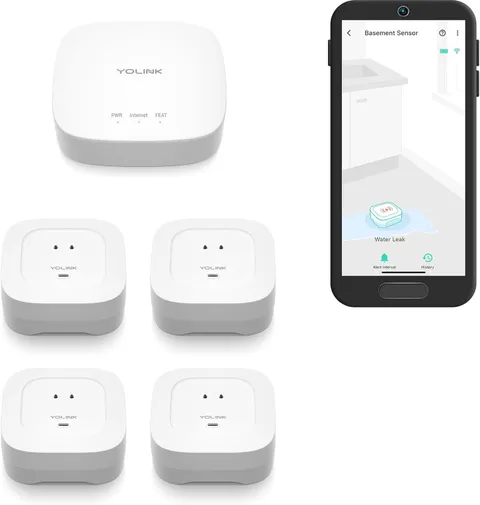 Water Leak Detection Kit Hub with 4 Sensors Long Range LoRa App Alerts
