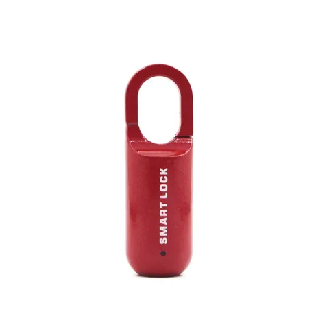 New Fingerprint Door Lock USB Cabinet Dormitory Anti Theft Multi Function Lock