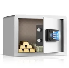 Small Biometric Safe with Fingerprint Lock (9.9"D x 13.8"W x 9.9"H), Smart Di...
