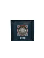 Bticino front adjustable camera alugray