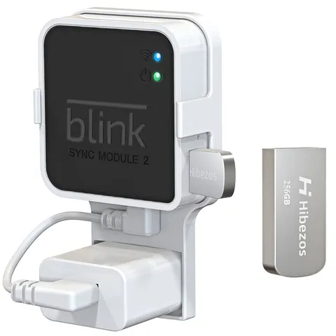 256GB USB Flash Drive & Outlet Mount for Blink Sync Module 2 w/Short Cable