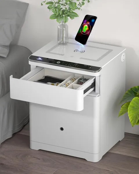 TIGERKING Biometric Safe with Fingerprint Lock, Wireless Charging, USB Port