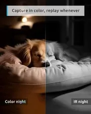 WHITE - BLURAMS PET CAMERA 2K, 360° DOG CAMERA WITH PHONE APP, PTZ INDOOR