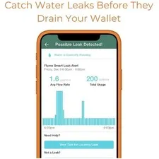 Smart Leak Detector for Residential Meters