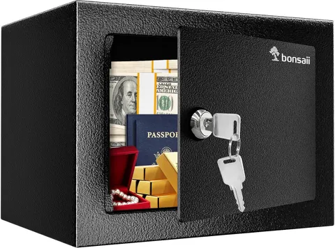 Safe Box with Key Lock, Steel Security Lock Box, 0.23 Cubic Feet, 9.06" W X 6.69