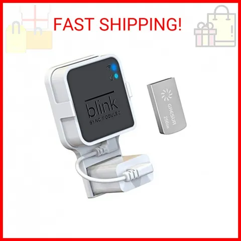 256GB USB Flash Drive for Blink Sync Module 2 with Outlet Wall Mount(1Pack)
