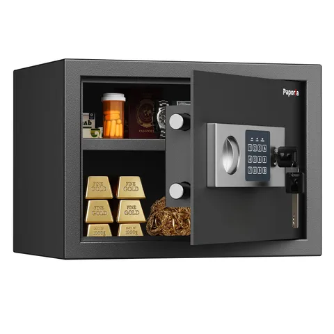 0.6 Cubic Feet Safe Box with Digital Keypad Lock & Keys, Home Safe Money Box ...