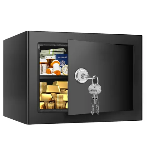 Small Safes for Home Use, Steel Security Lock Box with Spare Keys and Removab...