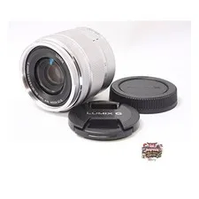 Panasonic LUMIX G VARIO 35-100mm F4.0-5.6 Telephoto Zoom Lens (Micro Four Thirds