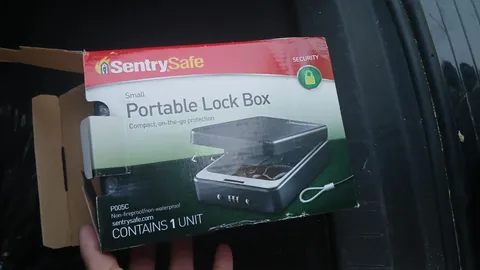 SentrySafe P005C Small Portable Metal Lock Box, Combination Lock, Matte Black