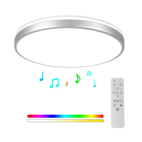 HOREVO LED Ceiling Light with Remote Control Large, Silver-24W Lamp