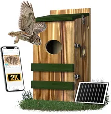 Owl House with Camera Solar Powered,4G Cellular, Anti-Corrosion Varnish Cedar Wo