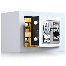 Electronic Digital Keypad Lock - 0.23 Cubic Feet Mini Safe for Office, Hotel,...