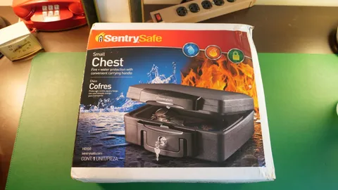 New SentrySafe H0100 Fire-Resistant Box Safe with Key Lock Small Chest