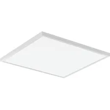 Lithonia Lighting CPANL 2x2 LED Flat Panel 2-Foot X 2-Foot, Switchable White