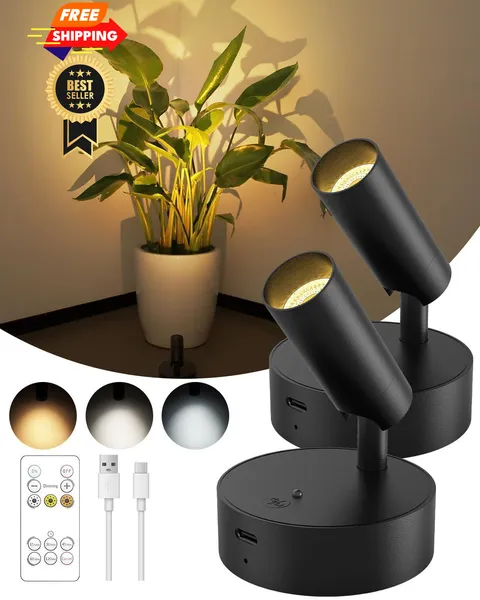 GOODEA Spotlights Indoor with Remote, 3000mAh Rechargeable 2 Pack, Black