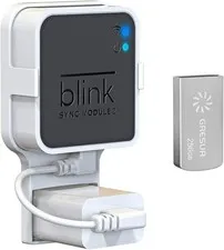 Blink Sync Module 2 Wall Mount & 256GB USB Flash Drive for Local Video Storage