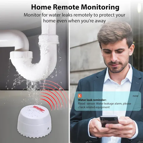 Smart WiFi Water Leak Sensor 2.4G Wireless Flood Alarm Home Security
