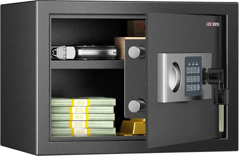 Locksworth Safe for Home, 0.6 Cubic Feet Safety Box, Lock Box for Money, Jewelry