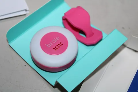 Birdie Disc Alarm Personal Security Alarm Hot Pink
