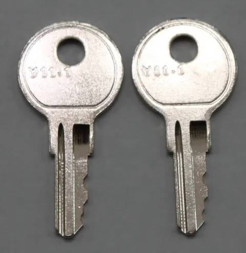 2 keys FOR LSDA cam locks LS300 LS301 LS302 LS303 LS304 LS305 LS306 LS307 LS308