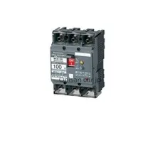 NEW Panasonic BKW-100 series earth leakage circuit breaker 2P2E with overcurrent