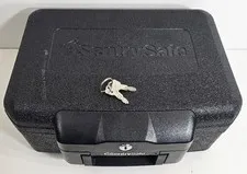 Sentry safe (P25020926)