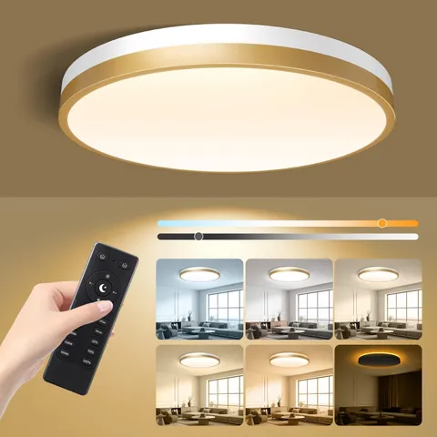 Lightania 13 Inch Flush Mount Ceiling Light with Remote 13 Inch, White Gold