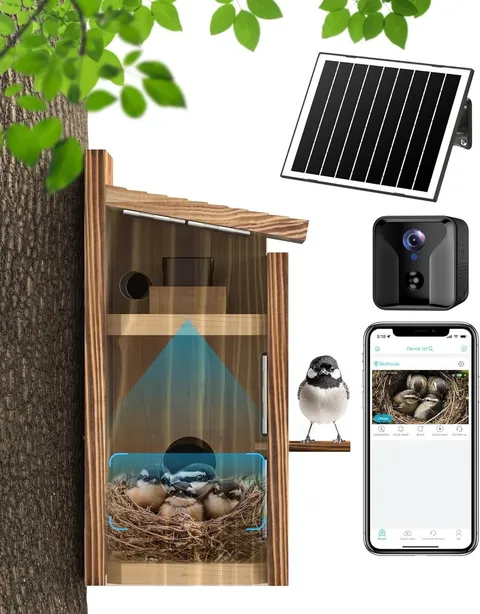 Solar Powered Bird House w/ 2K HD Camera – Night Vision, App Control, Cedar