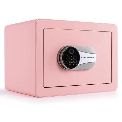 0.6 Cubic Feet Biometric Safe, Fingerprint Safe W/Fireproof Bag, Removable Sh...