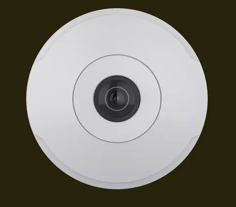 Axis Communication 01732-004 M3068-P Mini Dome Network Camera with 360-degree